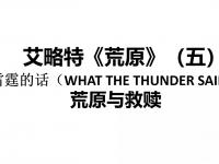 九游网页版-雷霆13年后终圆冠军梦老三少的宿命被SGA救赎？的简单介绍