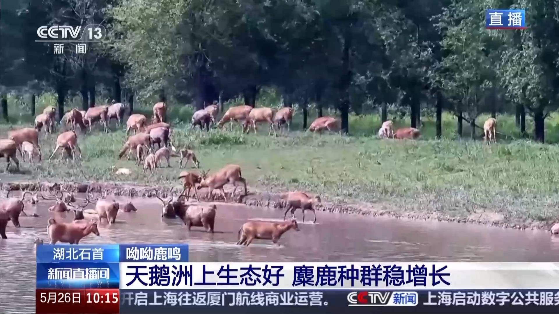 美媒设想雄鹿8种交易：5笔交易字母3笔补强，湖勇侠鹿四方交易